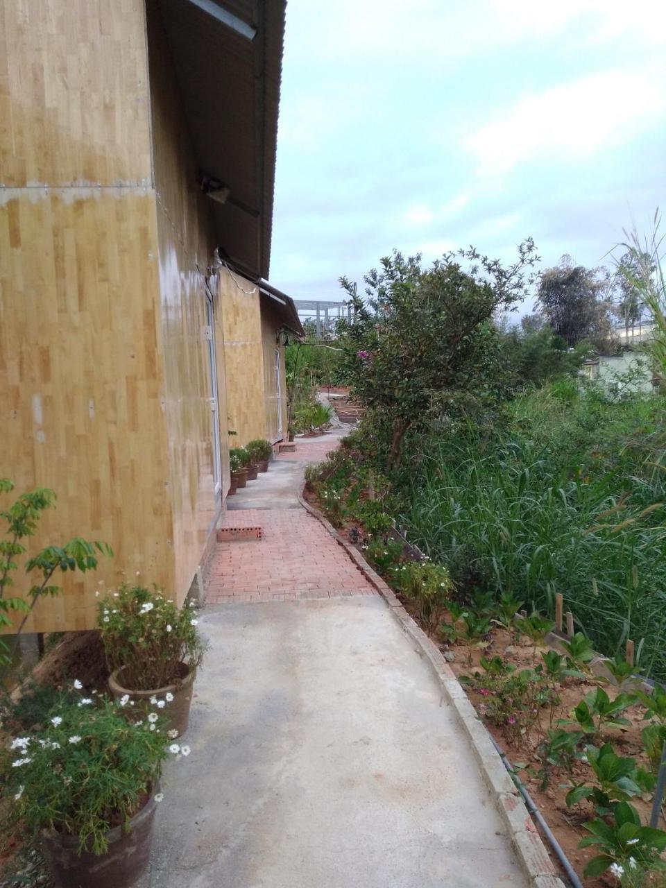 My House Bungalow ดาลัด ภายนอก รูปภาพ