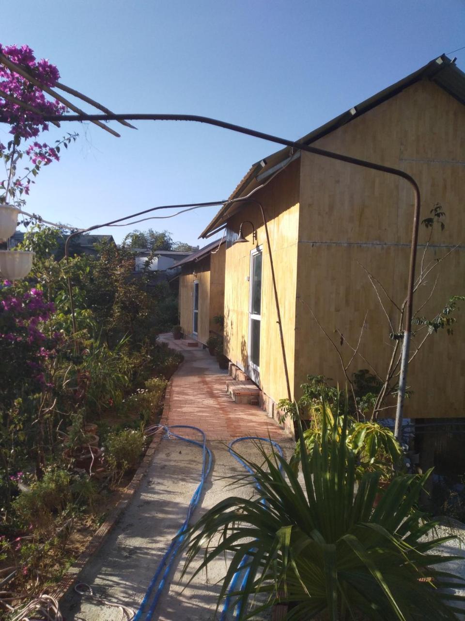 My House Bungalow ดาลัด ภายนอก รูปภาพ